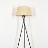 Sabadim Staande lamp Beige, 1-licht