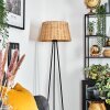 Cavaca Staande lamp Beige, 1-licht