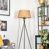 Barcos Staande lamp Beige, Natuurlijke kleuren, 1-licht