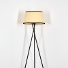 Chellas Staande lamp Beige, Zwart, 1-licht