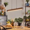 Carbellino Hanglamp LED Wit, 1-licht