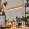 Carbellino Hanglamp LED Natuurlijke kleuren, Zwart, 1-licht