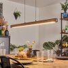 Carbellino Hanglamp LED Donkerbruin, Zwart, 1-licht