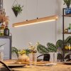 Carbellino Hanglamp LED Natuurlijke kleuren, Zwart, 1-licht