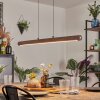 Carbellino Hanglamp LED Donkerbruin, Zwart, 1-licht