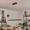 Carbellino Hanglamp LED Donkerbruin, Zwart, 1-licht