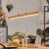 Carbellino Hanglamp LED Natuurlijke kleuren, Zwart, 1-licht