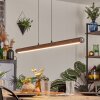 Carbellino Hanglamp LED Donkerbruin, Zwart, 1-licht