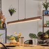 Carbellino Hanglamp LED Donkerbruin, Zwart, 1-licht