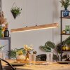 Carbellino Hanglamp LED Natuurlijke kleuren, Zwart, 1-licht