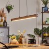 Carbellino Hanglamp LED Donkerbruin, Zwart, 1-licht