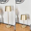 Belece Buiten tafellamp, Tafellamp LED Goud, 1-licht