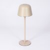 Asen Buiten tafellamp, Tafellamp LED Beige, 1-licht