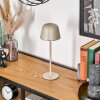 Asen Buiten tafellamp, Tafellamp LED Beige, 1-licht