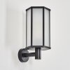 Monfanim Wandlamp voor buiten Zwart, 1-licht