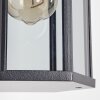 Monfanim Wandlamp voor buiten Zwart, 1-licht