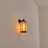 Monfanim Wandlamp voor buiten Zwart, 1-licht