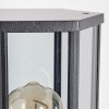 Monfanim Wandlamp voor buiten Zwart, 1-licht