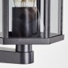 Monfanim Wandlamp voor buiten Zwart, 1-licht