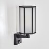 Monfanim Wandlamp voor buiten Zwart, 1-licht