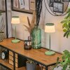 Algeraz Buiten tafellamp, Tafellamp LED Groen, 1-licht