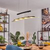 Casalino Hanglamp LED Zwart, Transparant, Helder, 1-licht