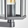 Monfanim Wandlamp voor buiten Zwart, 1-licht