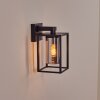 Trancozelos Wandlamp voor buiten Zwart, 1-licht