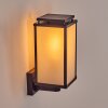 Cadafaes Wandlamp voor buiten Zwart, 1-licht