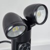 Plingshult Buitenlicht, Aarde piek, Pad licht LED Zwart, 2-lichts