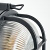 Godel Wandlamp voor buiten Zwart, 1-licht