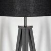 Flemming Staande lamp Zwart, 1-licht