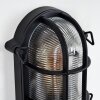 Godel Wandlamp voor buiten Zwart, 1-licht