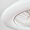 Benasal Plafondlamp, Plafondventilator met verlichting Wit, 1-licht, Afstandsbediening