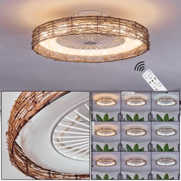 Benasal Plafondlamp, Plafondventilator met verlichting Natuurlijke kleuren, Wit, 1-licht, Afstandsbediening