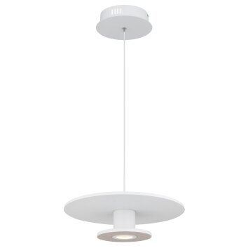 Globo Carter Hanglamp LED Wit, 1-licht