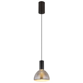 Globo Labora Hanglamp LED Zwart, 1-licht