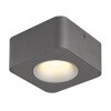 Globo Hangarau Plafondlamp LED Grijs, 1-licht