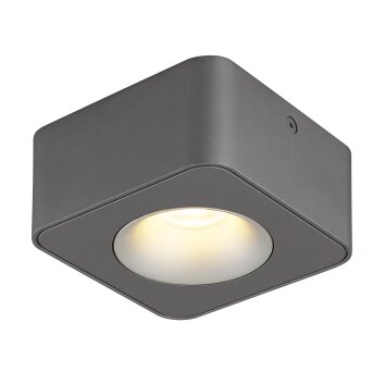 Globo Hangarau Plafondlamp LED Grijs, 1-licht