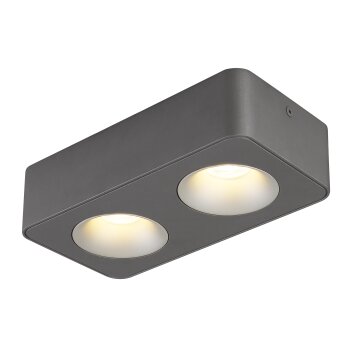 Globo Hangarau Plafondlamp LED Grijs, 1-licht