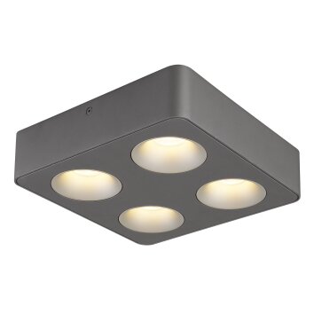 Globo Hangarau Plafondlamp LED Grijs, 1-licht