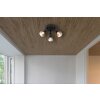 Globo Satella Plafondlamp, Plafondspot, Wandlamp, Muurspot Zwart, 3-lichts