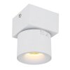 Globo Rae Plafondlamp LED Wit, 1-licht