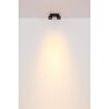 Globo Rae Plafondlamp LED Zwart, 2-lichts