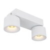 Globo Rae Plafondlamp LED Wit, 2-lichts