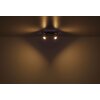 Globo Verpax Plafondlamp, Plafondspot, Wandlamp, Muurspot Nikkel mat, 2-lichts