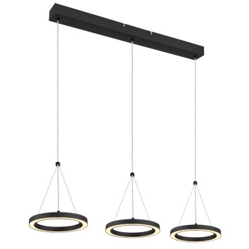 Globo Grenvix Hanglamp LED Zwart, 1-licht