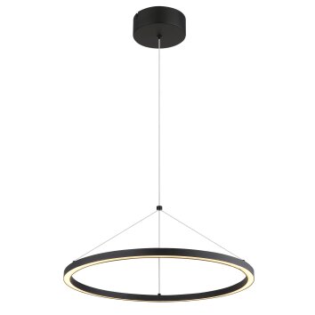 Globo Grenvix Hanglamp LED Zwart, 1-licht