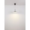 Globo Lampone Hanglamp LED Zwart, 1-licht