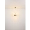 Globo Firefly Hanglamp LED Zwart, 1-licht